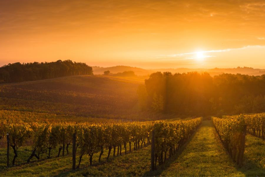 Pfade-finden-wandern-steigerwald-schnupperwochenende